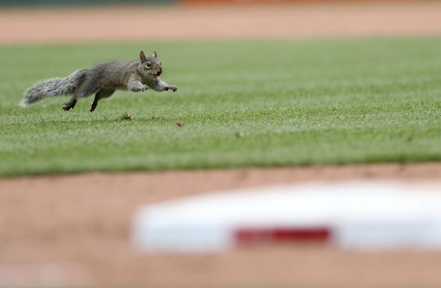 Cards' skid at 8 as Wainwright returns, Tigers win 6-5 in 10