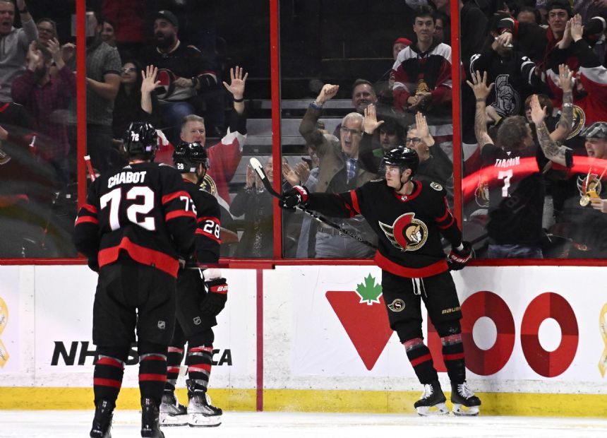 Senators are up for sale, buyer must keep team in Ottawa