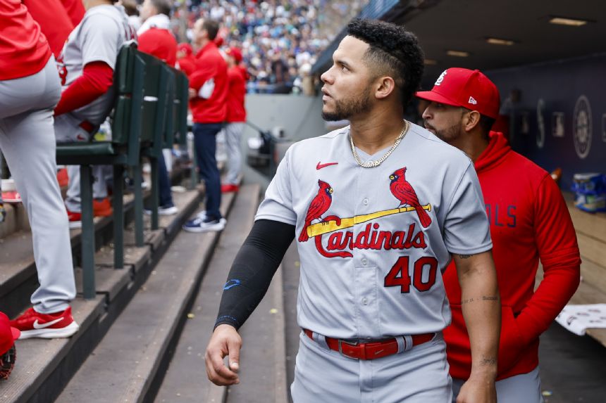 Rays vs Cardinals Betting Odds, Free Picks, and Predictions (8/8/2024)