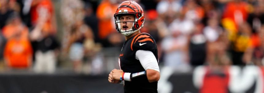 Bengals vs Browns Oct 31 Prediction, Preview, Odds and Picks