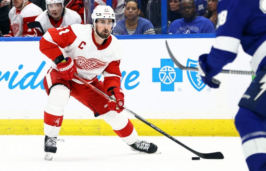 Red Wings vs Wild Betting Odds, Free Picks, and Predictions (12/14/2022)