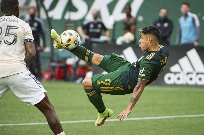 Portland Timbers vs. San Jose Earthquakes Betting Odds, Free Picks, and Predictions - 10:30 PM ET (Wed, Jun 19, 2024)